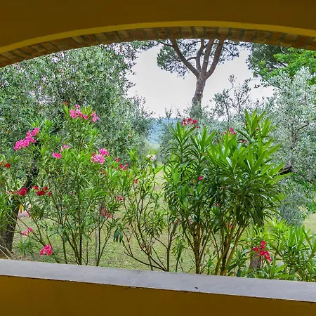 Holiday home San Lazzaro By Interhome Montevettolini