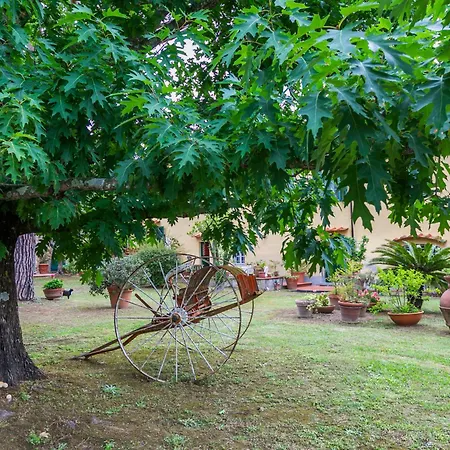 Holiday home San Lazzaro By Interhome